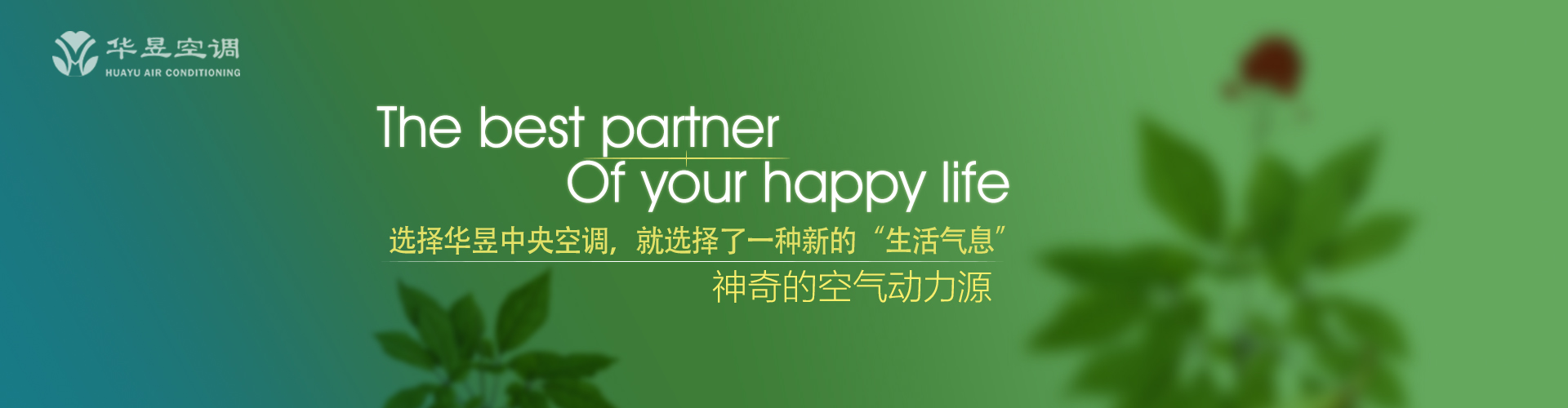 怪诞诡奇网